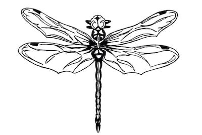 Die MOORWHISKY Geschichte - Libelle Logo