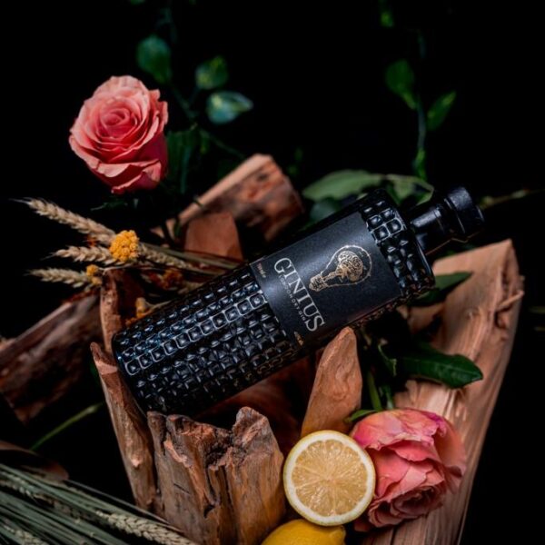 GINIUS London Dry Gin aus Südtirol 40% Vol